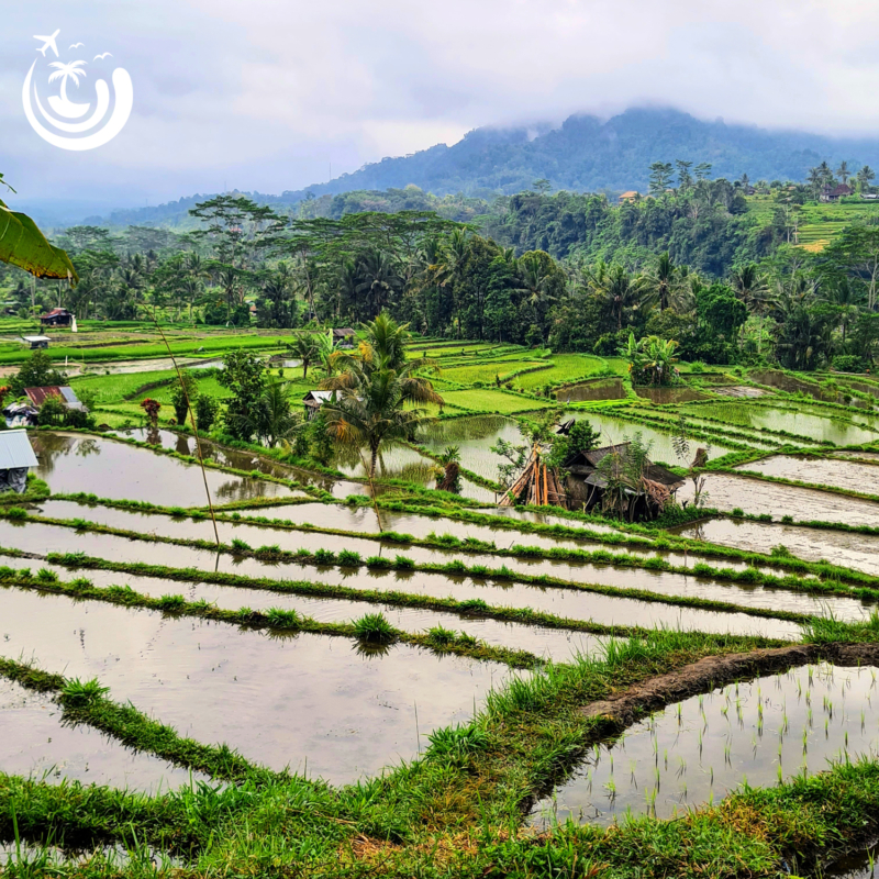 Indonezija – Balis pritraukia arba atstumia